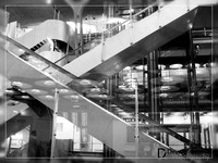Up and Down